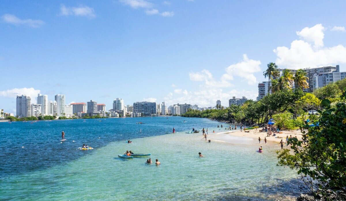 people on beach during daytime